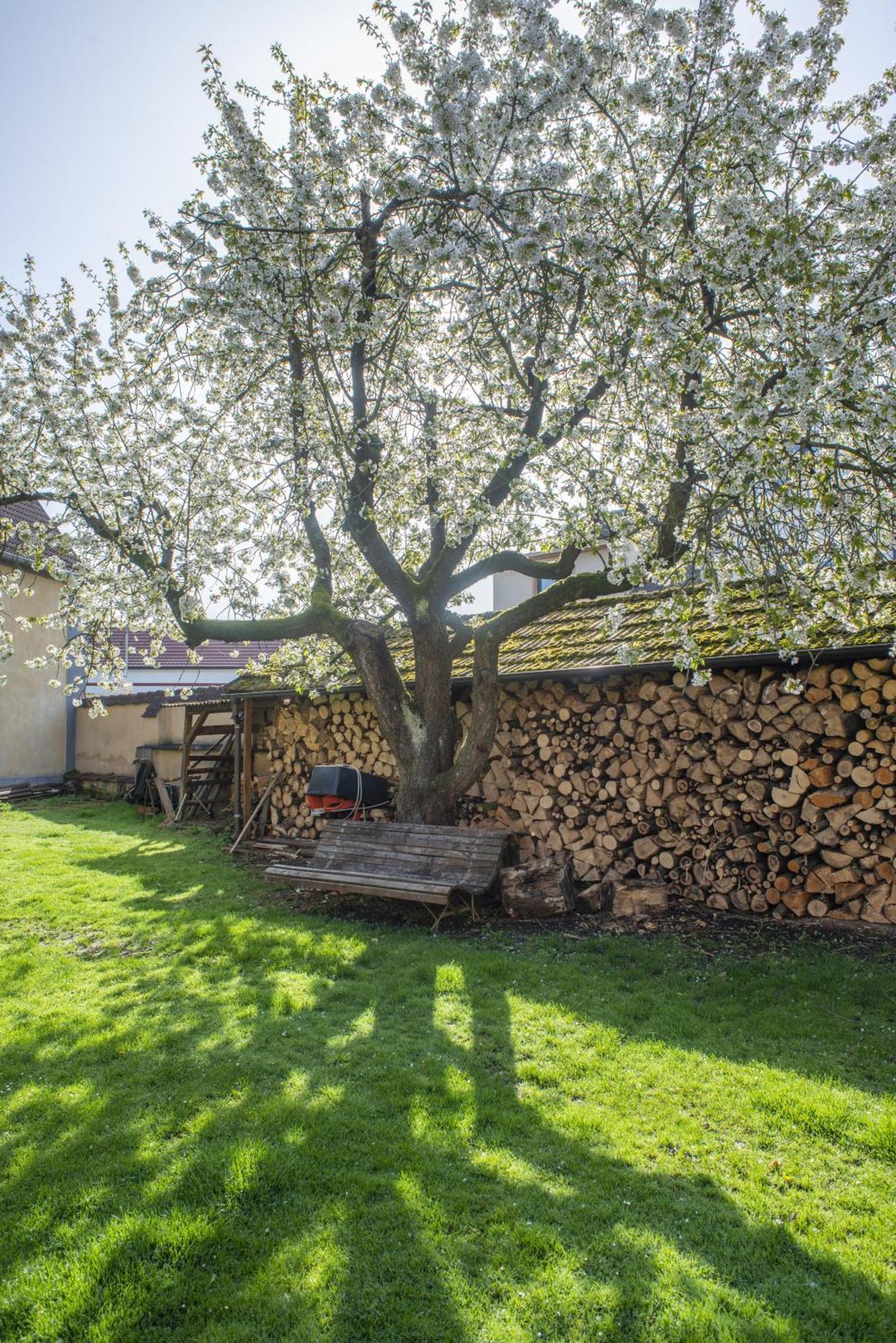Mlyn-osvracin Apartament